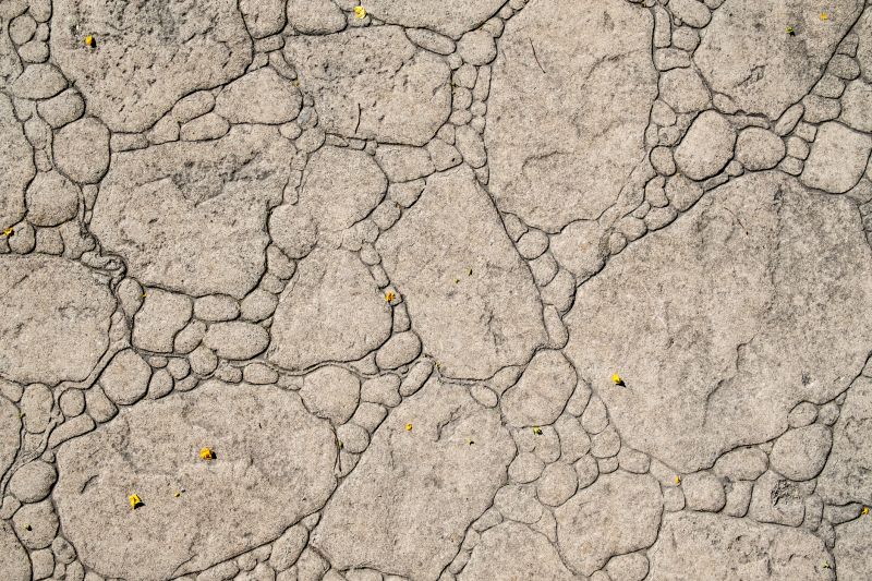 Decorative Concrete Repair in Cary, NC