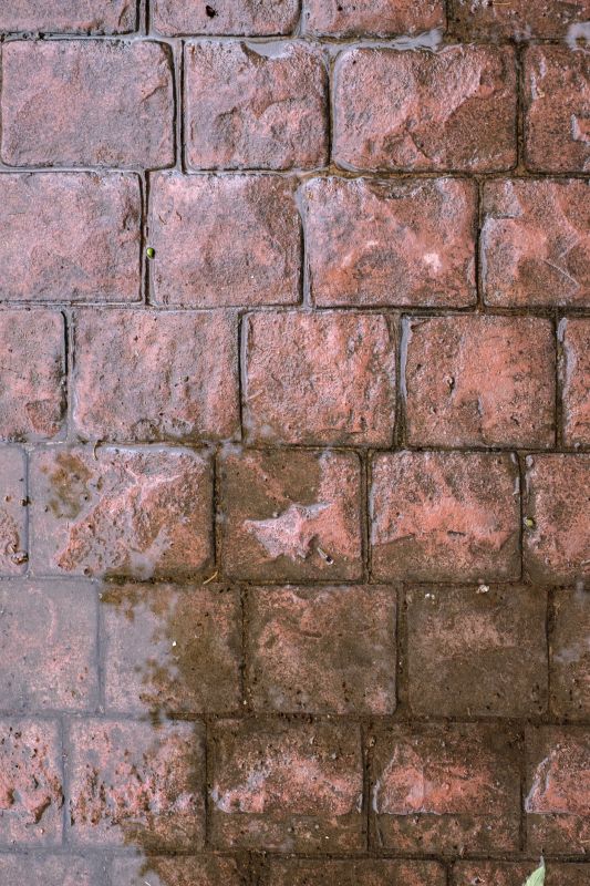 Decorative Concrete Repair in North Fort Myers, FL